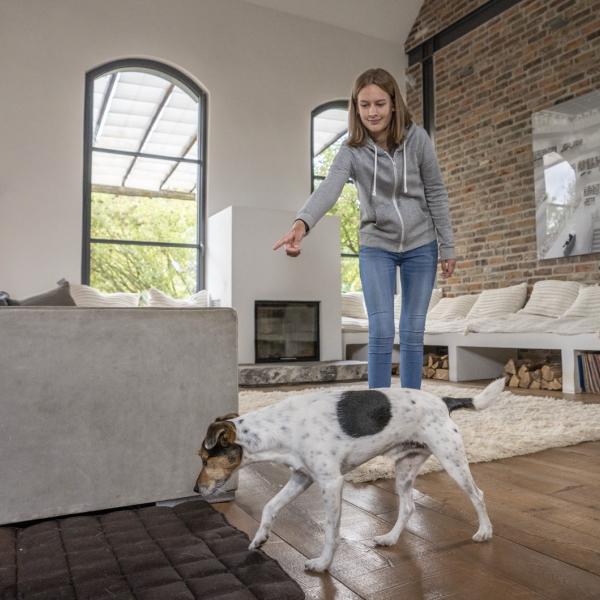 Alltagstraining - Erziehung für jeden Tag