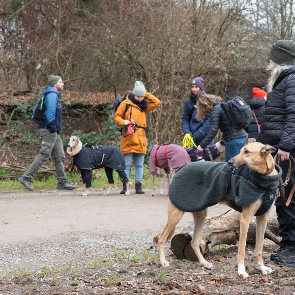 Spendenspaziergang im März