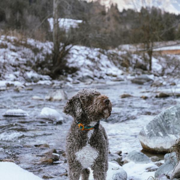 Trainingswochenende Lumnezia
