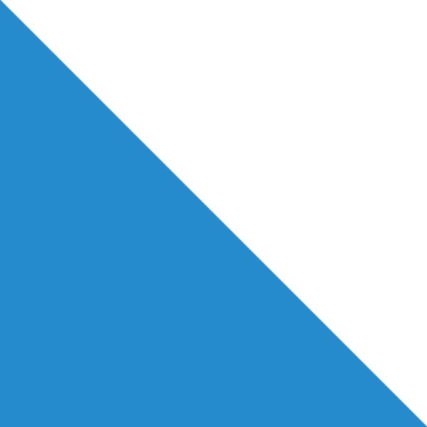 Basiskurs – Februar