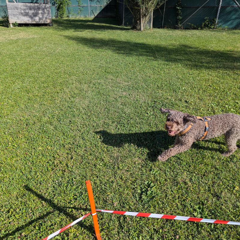 Themenabend Distanztraining