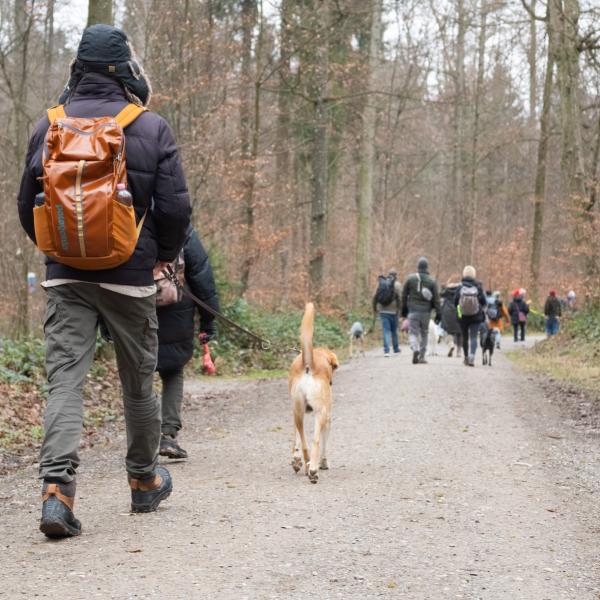 Osterevent – Frühlingsspaziergang XXL