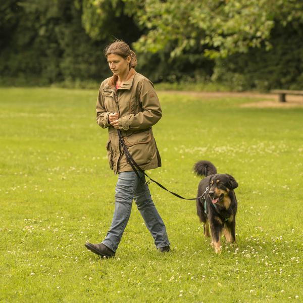 Leinenführigkeitskurs / Leash training