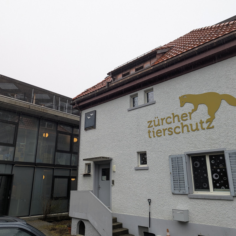 Alltagsgruppe im Tierheim