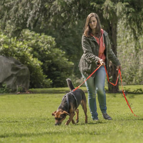 Basisseminar Mantrailing – Personensuche als Freizeitbeschäftigung