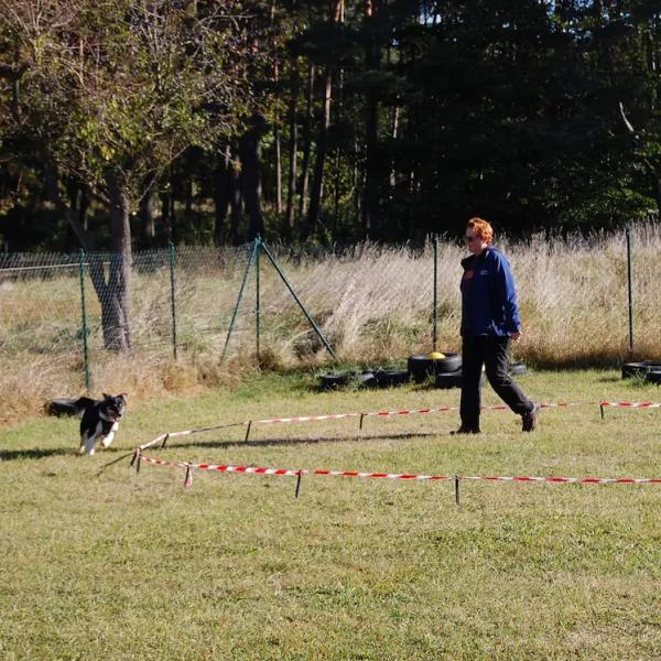 Distanzkreis für Einsteiger:innen