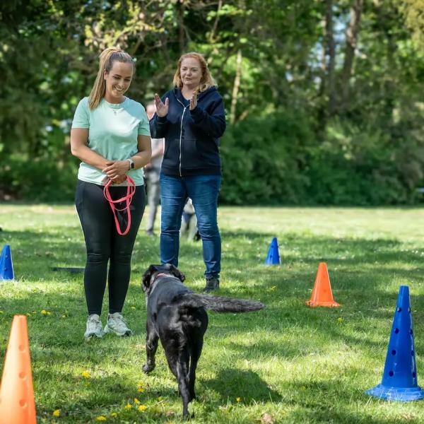 Rückruftraining für Einsteiger:innen