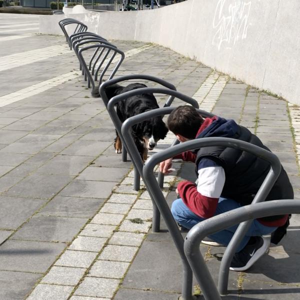 Spaziergänge in der Stadt abwechslungsreich gestalten