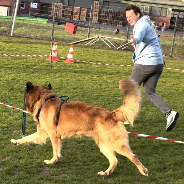 Distanzkreis für Fortgeschrittene