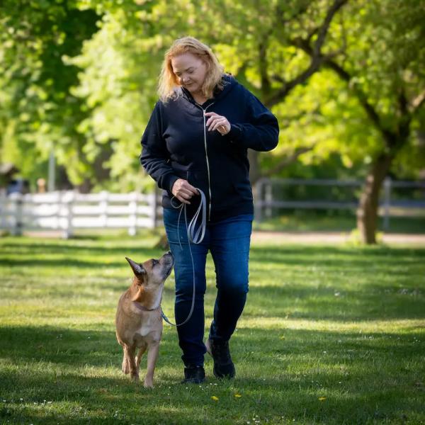 Leinenführigkeit für Einsteiger:innen