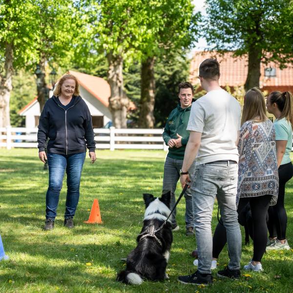 Schnuppertraining für Neukundinnen und -kunden
