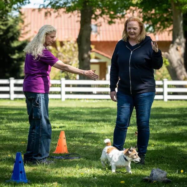 Anti-Jagd-Training für Einsteiger:innen