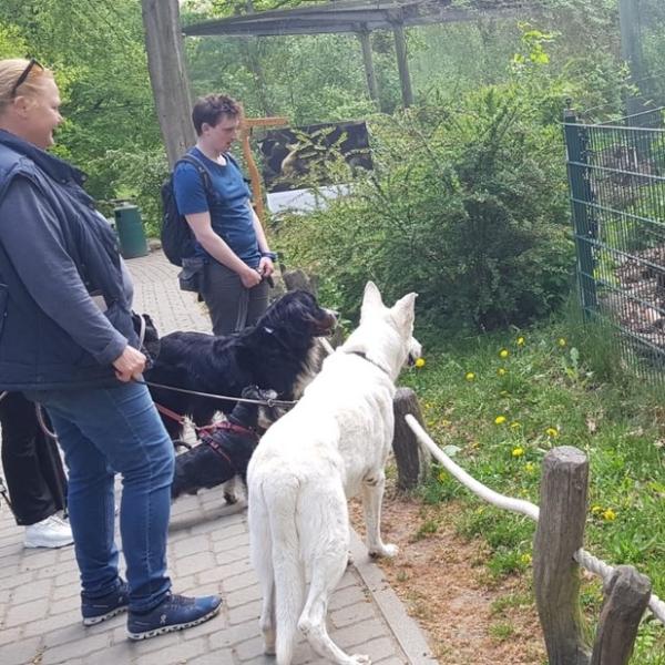 Alltagstraining für Fortgeschrittene