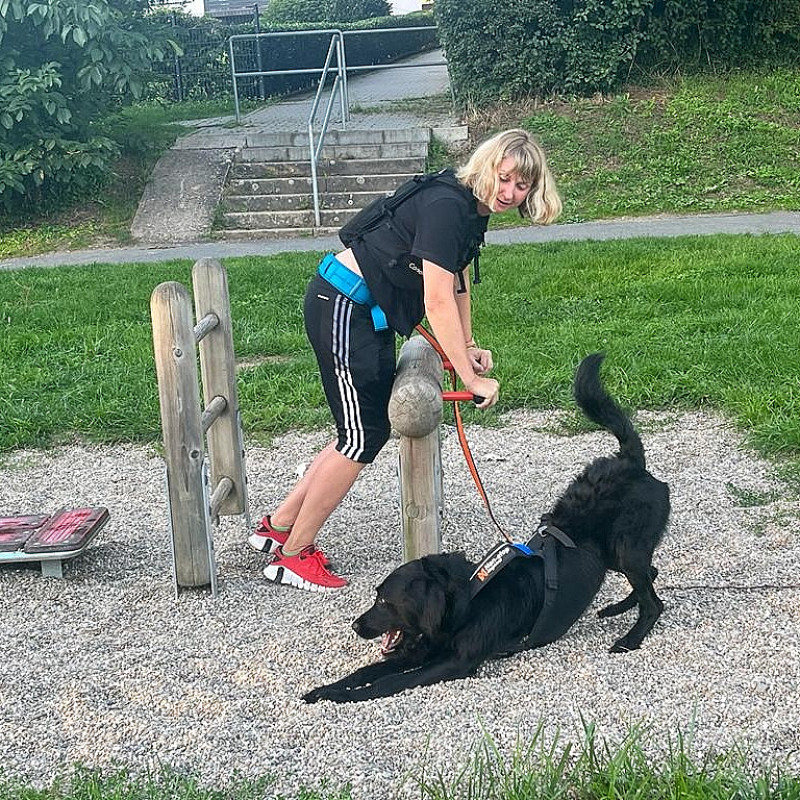 Fitness mit Hund (Workshop)