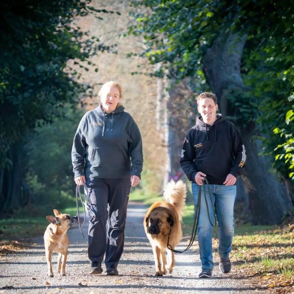 Tierschutzhunde & Straßenhunde – so werden Mensch & Hund ein Team