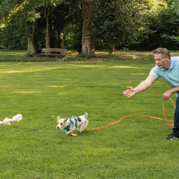 Apportieren für Fortgeschrittene