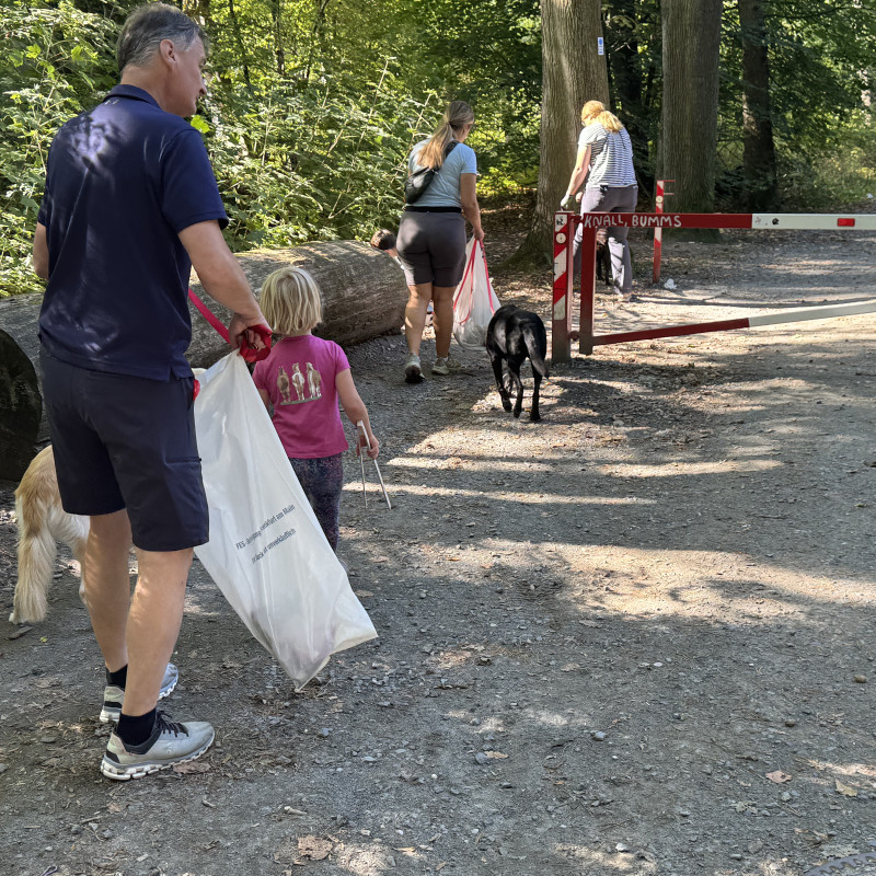 Clean-up-dogs