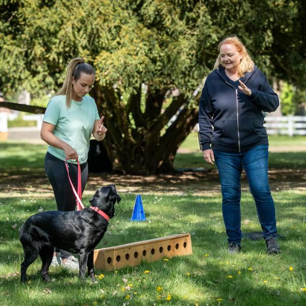 Suche nach klein(st)en Gegenständen für Einsteiger:innen