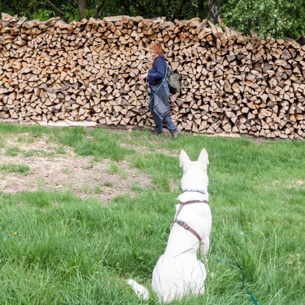 Spaziergänge richtig gestalten