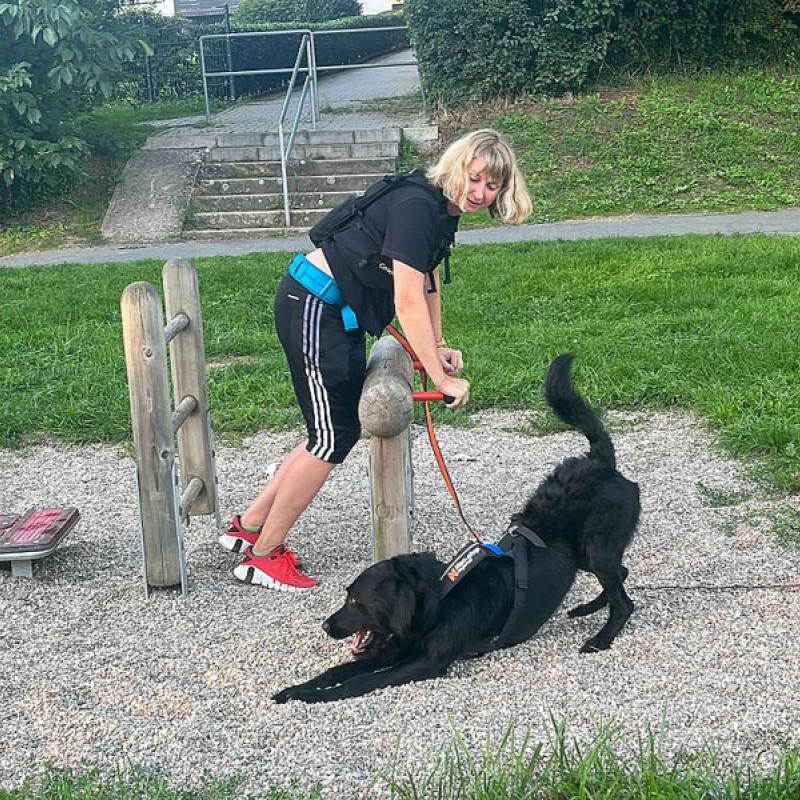 Sport (mit Hund) im Park