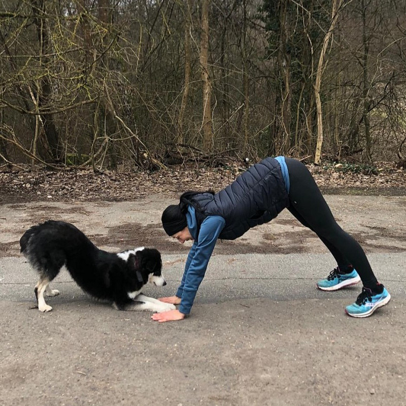 Beschäftigung für Heldenhunde: 🌟Tricktraining🌟