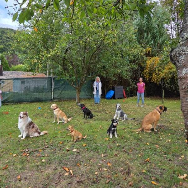 Gruppe Fortgeschrittene (Di, 17 Uhr) Mrz 26