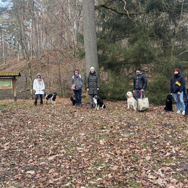 Gruppe (Mi, 17 Uhr) Jan/Fbr 26