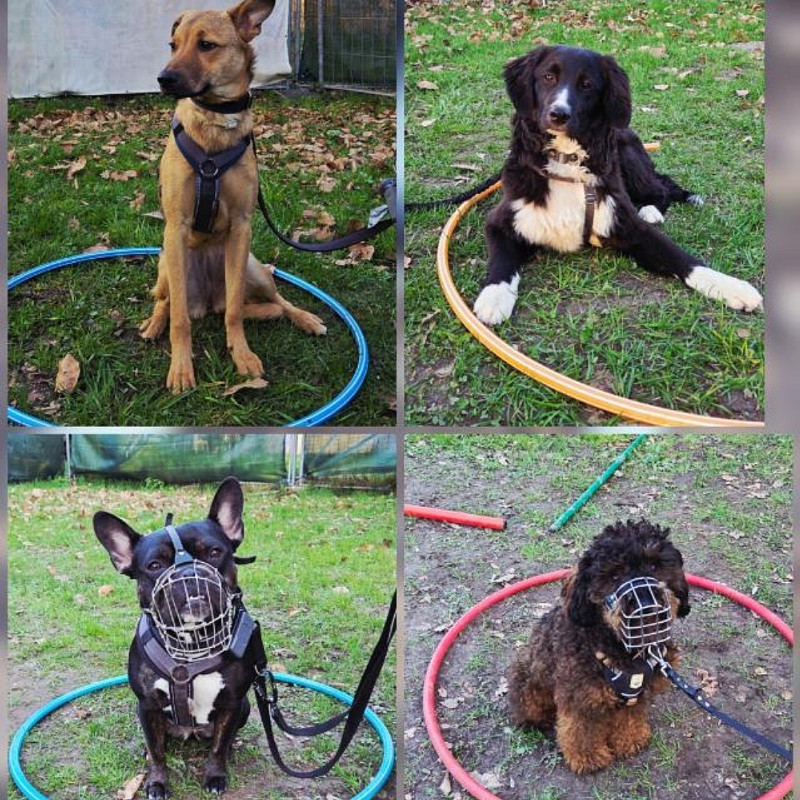 Gruppe (Mi, 17 Uhr) Mai 26