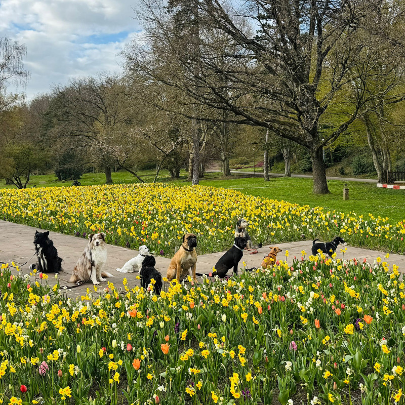 Gruppe Fortgeschrittene (Di, 17 Uhr) Mai 26