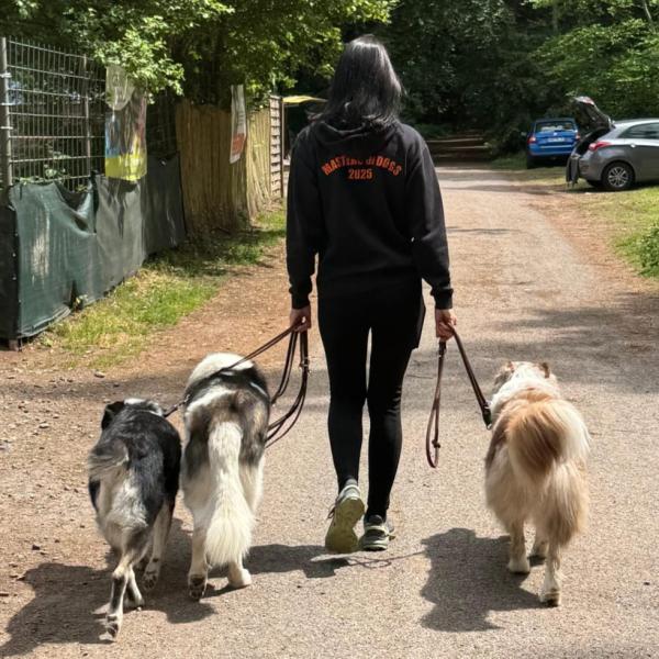 Helden an der Leine - Leinenführung in Theorie & Praxis