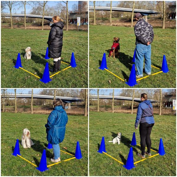 Gruppe (Mo, 10 Uhr) Jan. 26