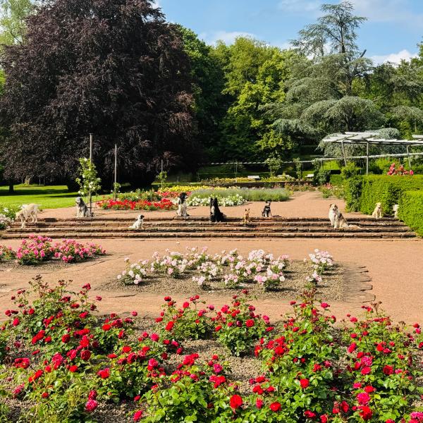 Gruppe (Sa, 10 Uhr) Jan 26