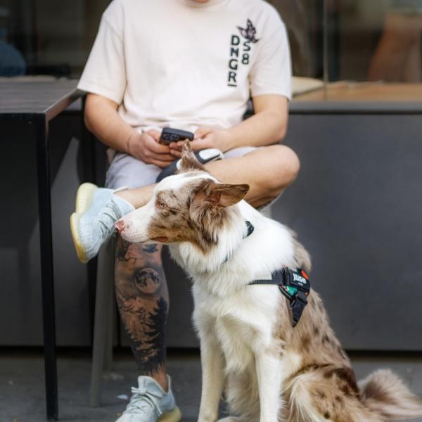 Alltagstraining mit Sandra