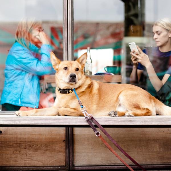 Alltagstraining mit Sandra