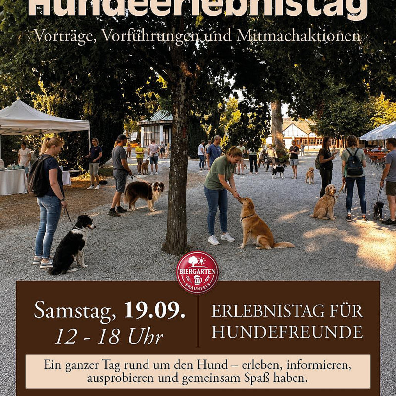 Hundeerlebnistag Braunfels