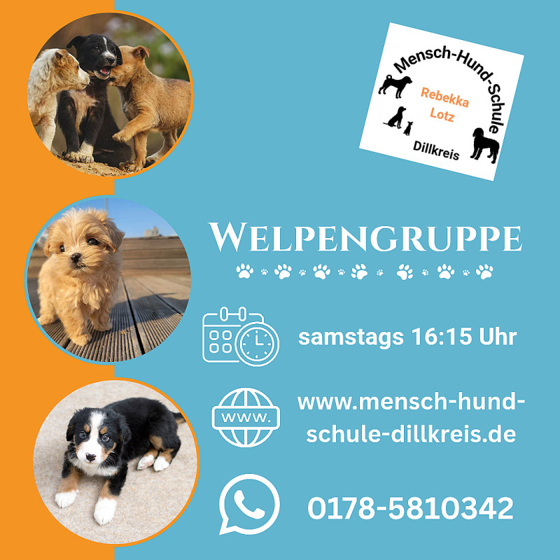 Welpengruppe