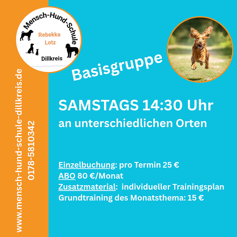 Basisgruppe (Junghundegruppe)