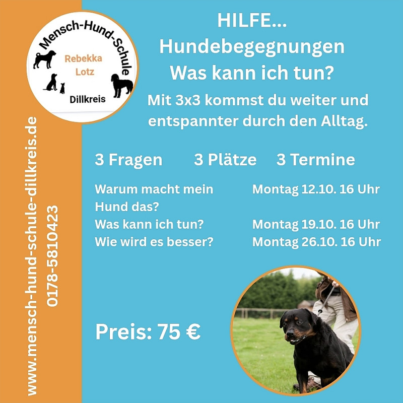 Hilfe ... Hundebegegnung