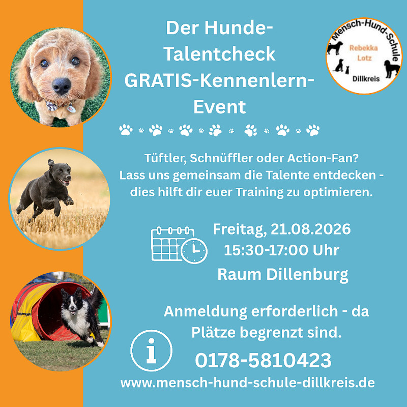 Talentcheck GRATIS Kennenlern-Event