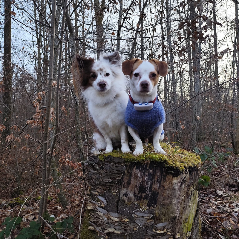 Unterwegs mitdenken