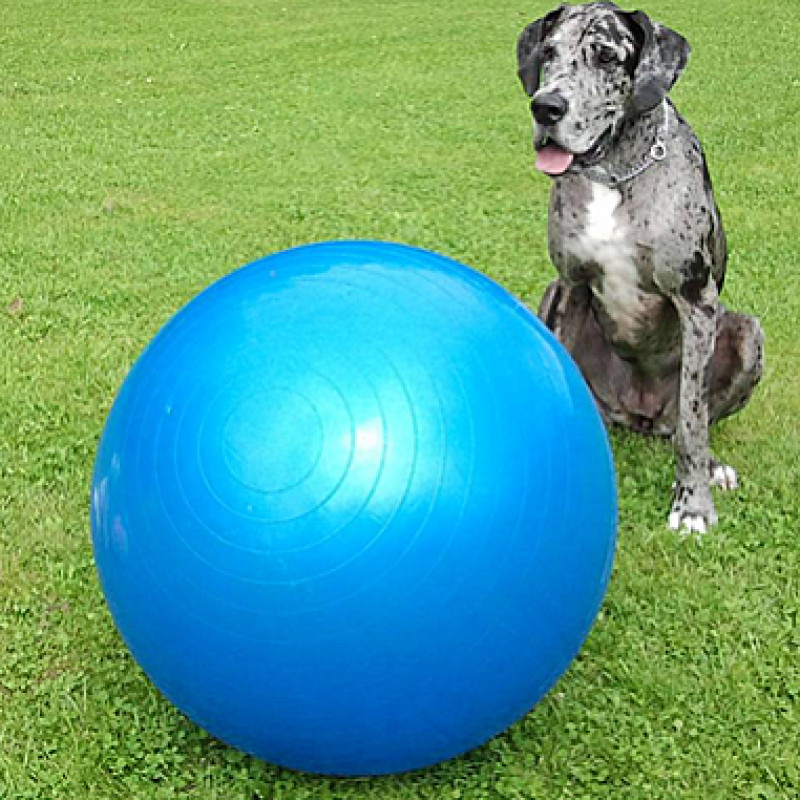 Balltreiber - 10:15-11:15 Uhr