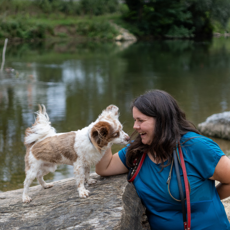 Seminar: Hund & Mensch im Dialog