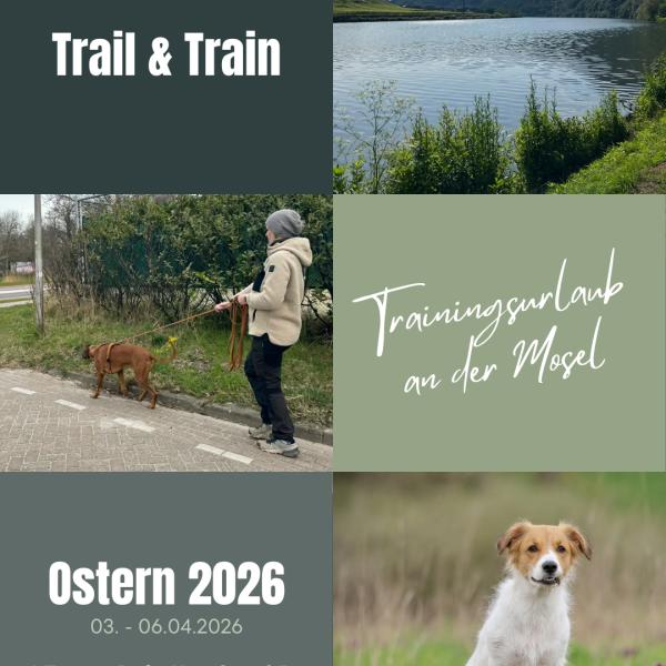 Trail & Train - Das perfekte Duo