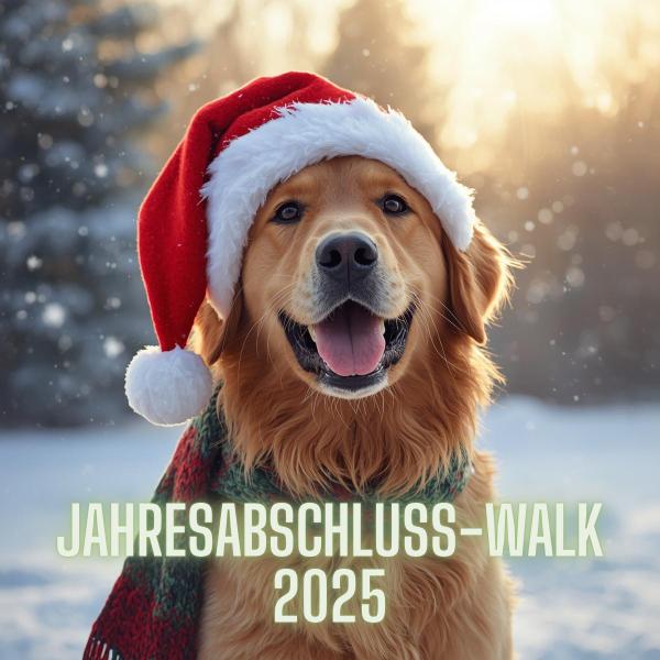 Jahresabschluss-Walk 2025