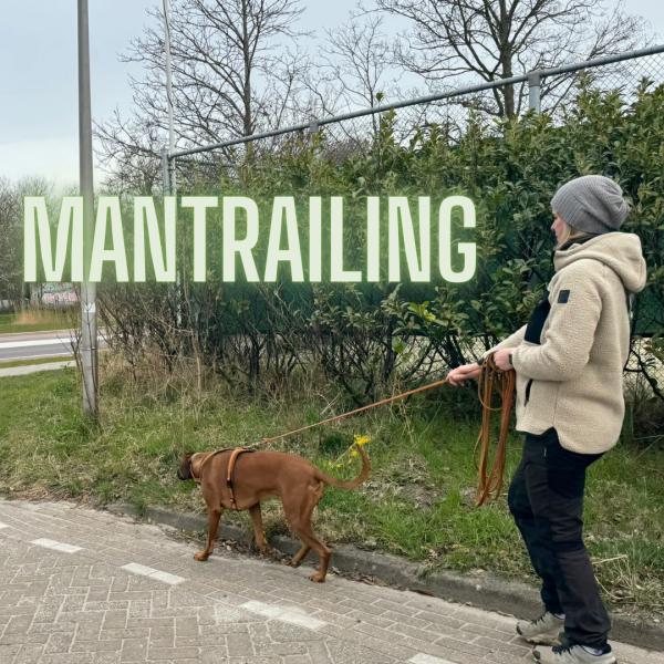 Mantrailing