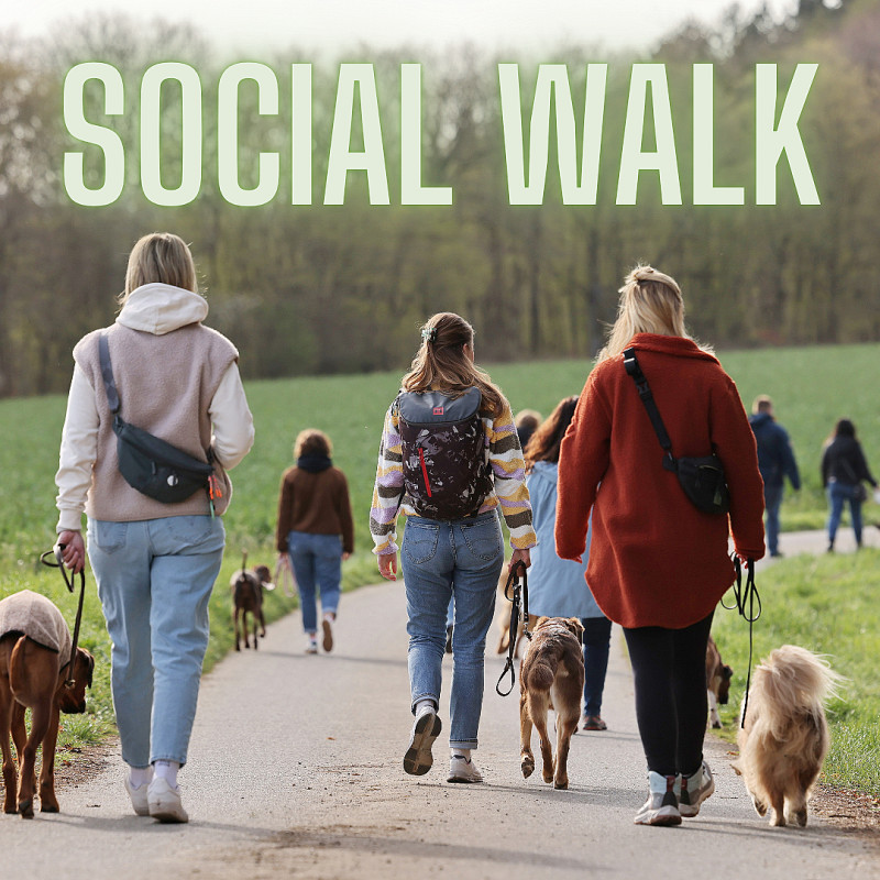 Hunsrückpfoten meets MoselSchnauzen - Social Walk