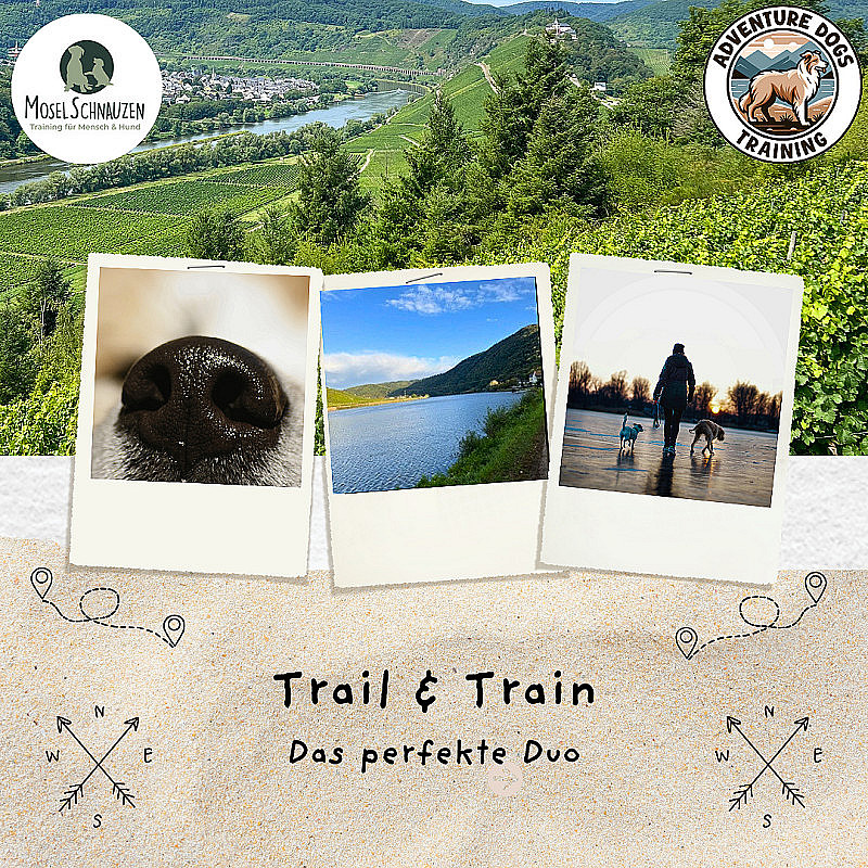 Trail & Train - Herbst-Edition