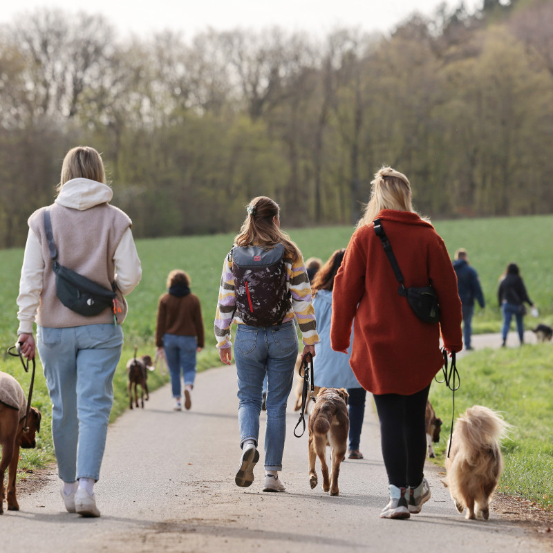 MoselSchnauzen Walk & Wine 🍷🐾