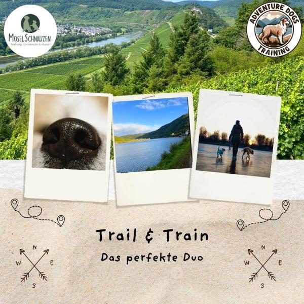 Trail & Train - Das perfekte Duo