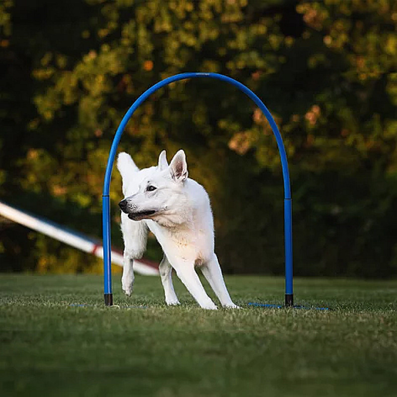 Hoopers für Anfänger